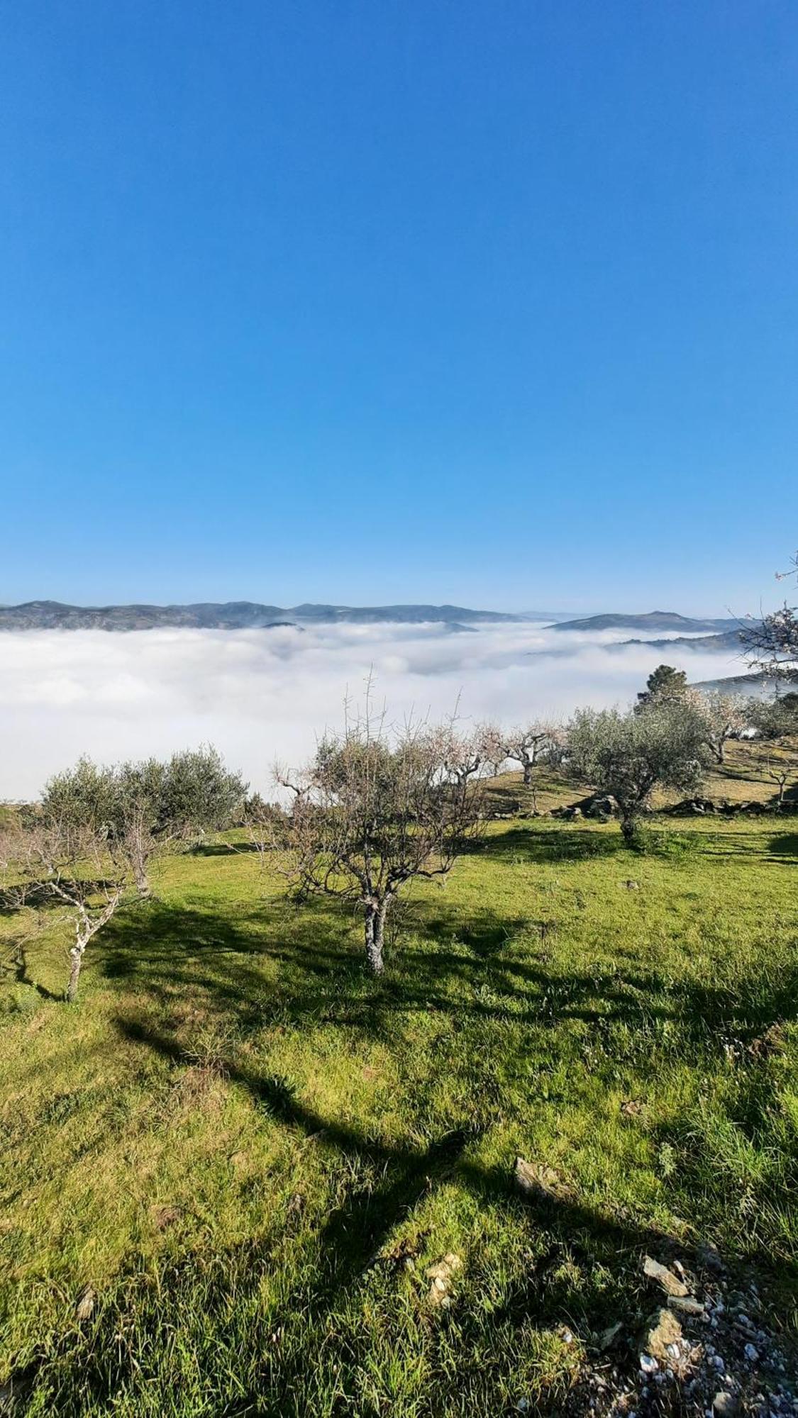 Ferradosa Guesthouse Vale de Figueira Zewnętrze zdjęcie